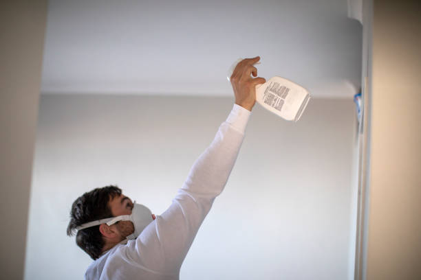 Best Local Mold Removal Service  in Milton, LA