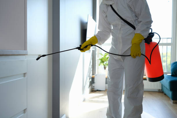 Reliable Milton, LA Mold Removal Solutions